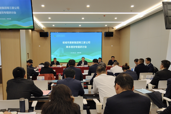 聚力攻坚降成本 深入鼎新增效益——尊龙集团官网集团等三家公司召开降本增效专题钻研会