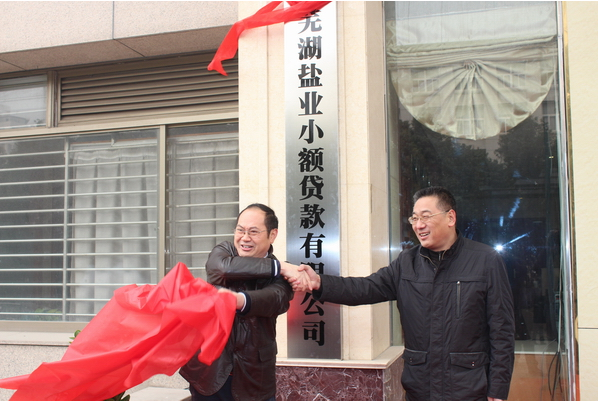 芜湖尊龙集团官网幼额贷款有限公司12月26日进行开业庆典