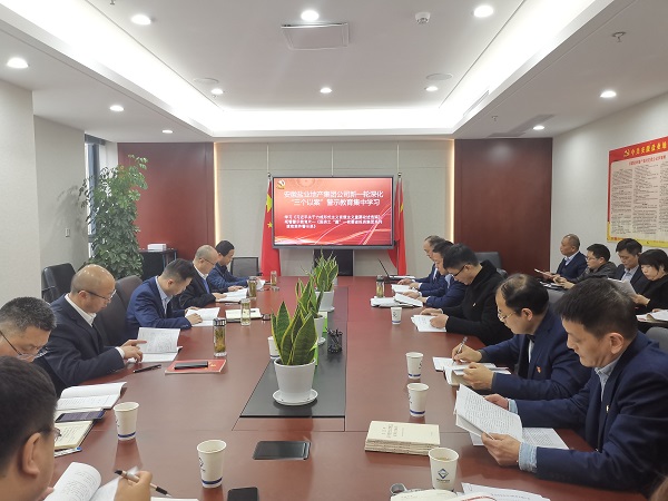 安徽尊龙集团官网地产集团公司发展新一轮深入“三个以案”警示教育集中进建