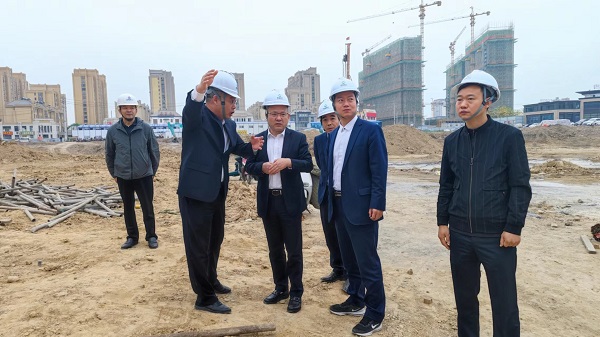 王晟到灵璧项目公司发展包保督导工作