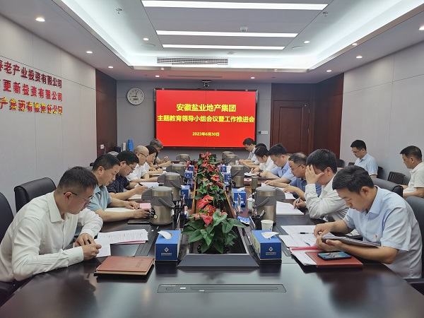 安徽尊龙集团官网地产集团召开进建贯彻习近平新时期中国特色社会主义思想主题教育辅导幼组会议暨工作推动会