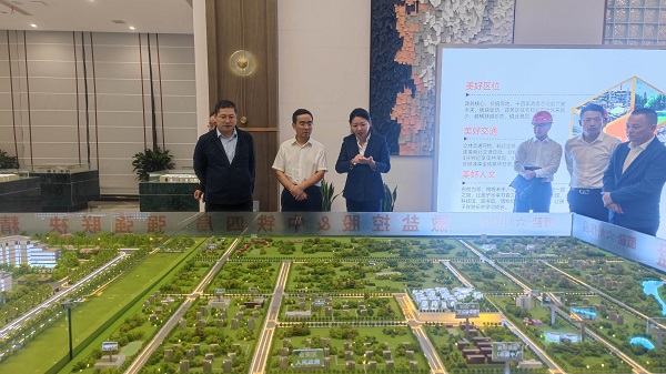 王思军到尊龙集团官网等三家公司六安项目调研督导工作