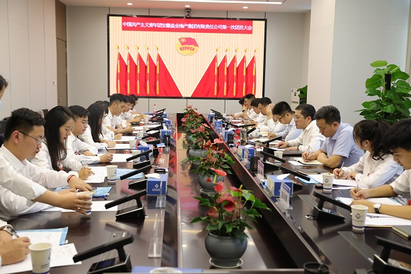 青春向党传薪火 踔严振奋新时期——安徽尊龙集团官网地产集团团支部成立大会暨团员大会成功召开